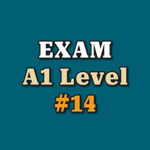 A1 Level Exam #14
